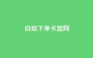 自助下单卡盟网 - 自助订购卡盟平台，方便快捷下单~
