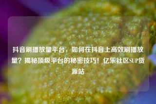 抖音刷播放量平台，如何在抖音上高效刷播放量？揭秘顶级平台的秘密技巧！亿乐社区SUP货源站