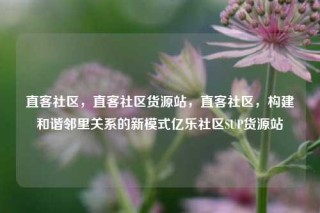 直客社区，直客社区货源站，直客社区，构建和谐邻里关系的新模式亿乐社区SUP货源站