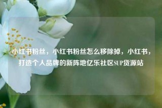 小红书粉丝，小红书粉丝怎么移除掉，小红书，打造个人品牌的新阵地亿乐社区SUP货源站