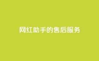网红助手的售后服务,网红商城自助下单网址是多少 - 抖音下单24小时最低价 - pdd刷助力软件