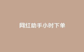 网红助手24小时下单,qq空间访客量增加网站 - 24小时微商软件自助下单商城 - 10000浏览量200赞