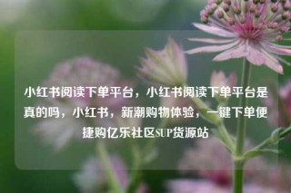 小红书阅读下单平台，小红书阅读下单平台是真的吗，小红书，新潮购物体验，一键下单便捷购亿乐社区SUP货源站