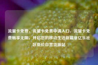 流量卡免费，流量卡免费申请入口，流量卡免费畅享无限，开启您的移动生活新篇章亿乐社区低价自营货源站