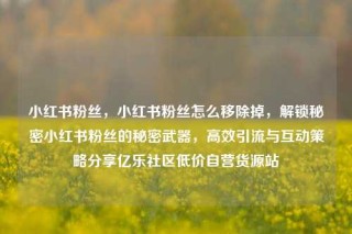 小红书粉丝，小红书粉丝怎么移除掉，解锁秘密小红书粉丝的秘密武器，高效引流与互动策略分享亿乐社区低价自营货源站