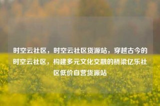 时空云社区，时空云社区货源站，穿越古今的时空云社区，构建多元文化交融的桥梁亿乐社区低价自营货源站