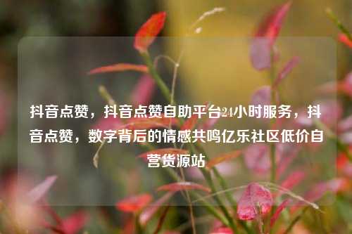 抖音点赞，抖音点赞自助平台24小时服务，抖音点赞	，数字背后的情感共鸣亿乐社区低价自营货源站  第1张