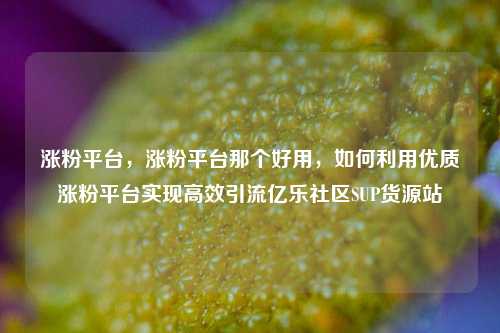 涨粉平台，涨粉平台那个好用	，如何利用优质涨粉平台实现高效引流亿乐社区SUP货源站  第1张