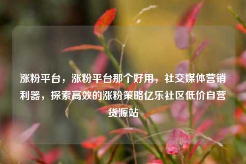 涨粉平台，涨粉平台那个好用	，社交媒体营销利器，探索高效的涨粉策略亿乐社区低价自营货源站  第1张