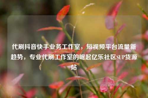 代刷抖音快手业务工作室，短视频平台流量新趋势	，专业代刷工作室的崛起亿乐社区SUP货源站  第1张