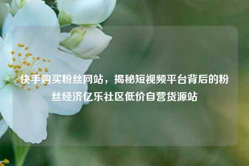 快手购买粉丝网站，揭秘短视频平台背后的粉丝经济亿乐社区低价自营货源站  第1张