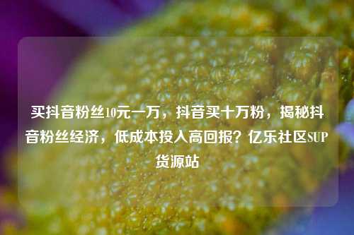 买抖音粉丝10元一万，抖音买十万粉	，揭秘抖音粉丝经济，低成本投入高回报？亿乐社区SUP货源站  第1张