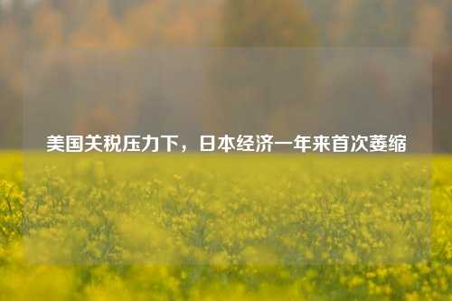 美国关税压力下，日本经济一年来首次萎缩  第1张