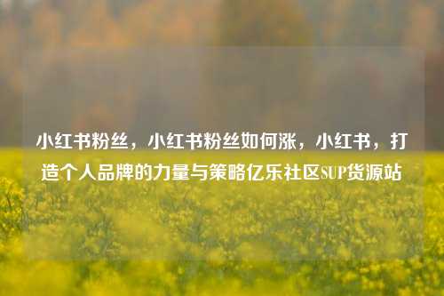 小红书粉丝，小红书粉丝如何涨	，小红书，打造个人品牌的力量与策略亿乐社区SUP货源站  第1张