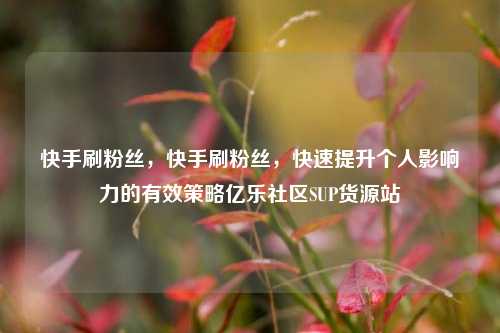 快手刷粉丝	，快手刷粉丝，快速提升个人影响力的有效策略亿乐社区SUP货源站  第1张