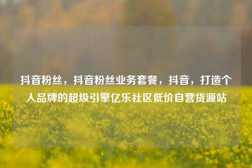 抖音粉丝，抖音粉丝业务套餐	，抖音，打造个人品牌的超级引擎亿乐社区低价自营货源站  第1张