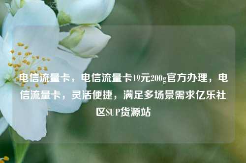 电信流量卡，电信流量卡19元200g官方办理	，电信流量卡，灵活便捷，满足多场景需求亿乐社区SUP货源站  第1张