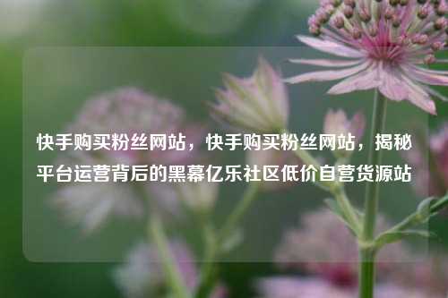 快手购买粉丝网站，快手购买粉丝网站	，揭秘平台运营背后的黑幕亿乐社区低价自营货源站  第1张