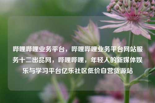 哔哩哔哩业务平台，哔哩哔哩业务平台网站服务十二出品网	，哔哩哔哩，年轻人的新媒体娱乐与学习平台亿乐社区低价自营货源站  第1张