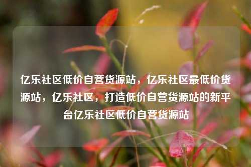 亿乐社区低价自营货源站，亿乐社区最低价货源站，亿乐社区	，打造低价自营货源站的新平台亿乐社区低价自营货源站  第1张