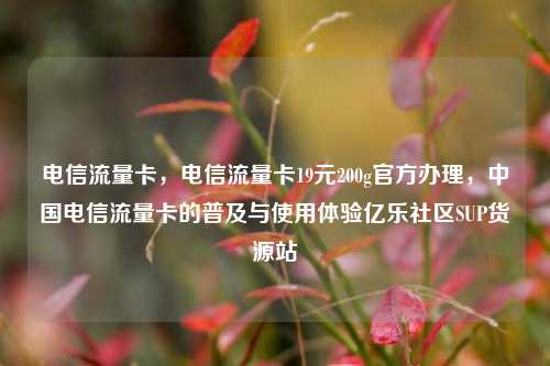 电信流量卡，电信流量卡19元200g官方办理，中国电信流量卡的普及与使用体验亿乐社区SUP货源站  第1张