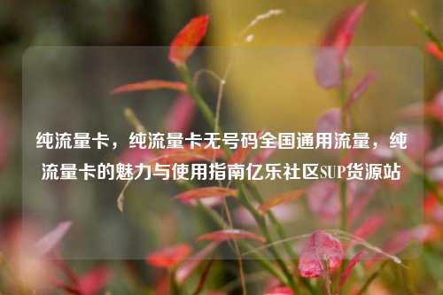 纯流量卡，纯流量卡无号码全国通用流量，纯流量卡的魅力与使用指南亿乐社区SUP货源站  第1张