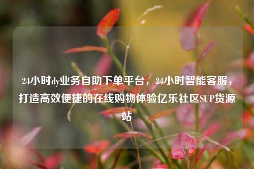 24小时dy业务自助下单平台，24小时智能客服，打造高效便捷的在线购物体验亿乐社区SUP货源站  第1张
