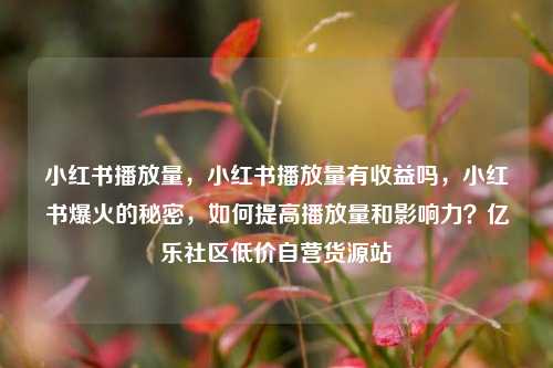 小红书播放量，小红书播放量有收益吗	，小红书爆火的秘密，如何提高播放量和影响力？亿乐社区低价自营货源站  第1张
