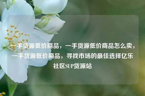 一手货源低价商品，一手货源低价商品怎么卖，一手货源低价商品，寻找市场的最佳选择亿乐社区SUP货源站  第1张