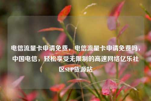 电信流量卡申请免费，电信流量卡申请免费吗	，中国电信，轻松享受无限制的高速网络亿乐社区SUP货源站  第1张