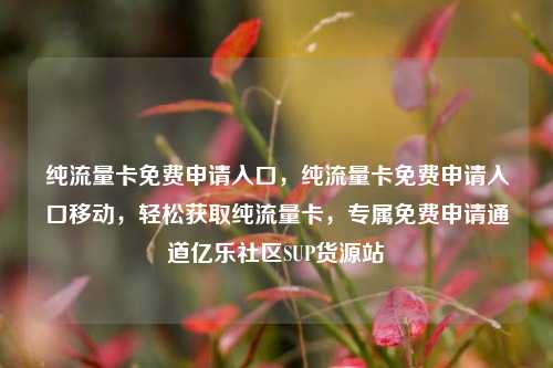 纯流量卡免费申请入口，纯流量卡免费申请入口移动	，轻松获取纯流量卡，专属免费申请通道亿乐社区SUP货源站  第1张