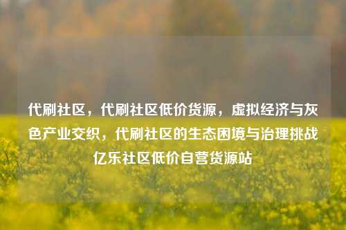 代刷社区，代刷社区低价货源	，虚拟经济与灰色产业交织，代刷社区的生态困境与治理挑战亿乐社区低价自营货源站  第1张