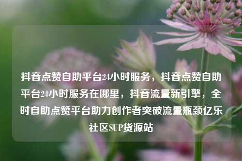 抖音点赞自助平台24小时服务	，抖音点赞自助平台24小时服务在哪里，抖音流量新引擎，全时自助点赞平台助力创作者突破流量瓶颈亿乐社区SUP货源站  第1张