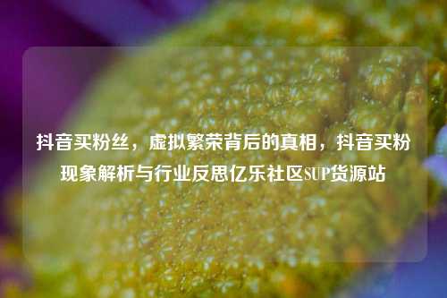 抖音买粉丝，虚拟繁荣背后的真相，抖音买粉现象解析与行业反思亿乐社区SUP货源站  第1张